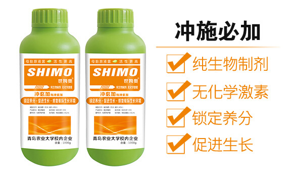 ΢�������-�_ʩ�ؼ�-��ķ�W-�����S_02