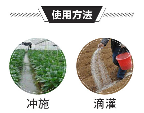 �Y����ֲ���-����һ̖-��ɫ���B(t��i)_06