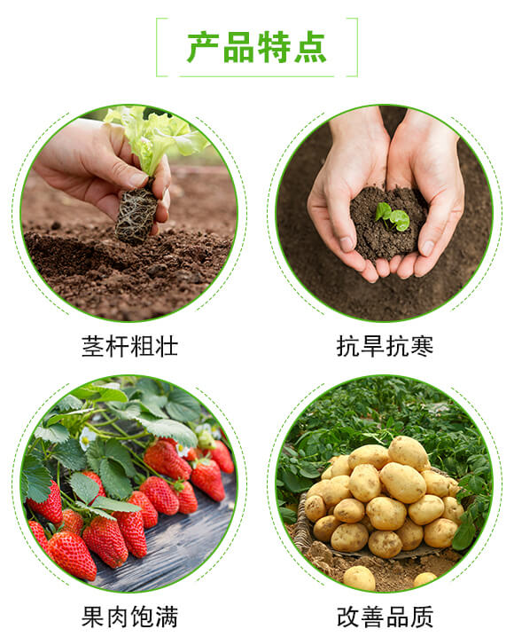 ��������M��-�����-�����r(n��ng)��_03