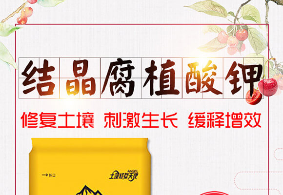 �Y����ֲ���-����һ̖-��ɫ���B(t��i)_01