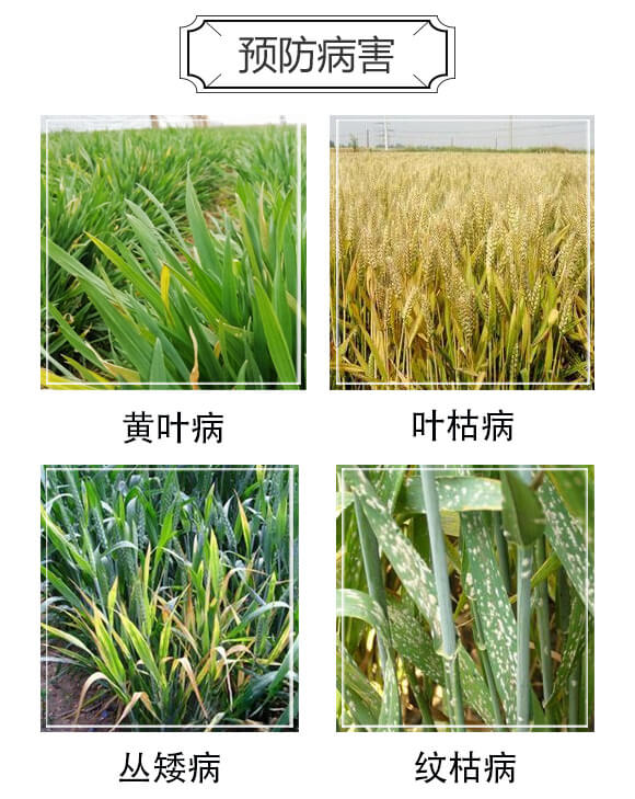 С������ȫ�����S��-���_04