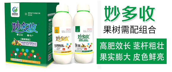 ��������M��-�����-�����r(n��ng)��_02