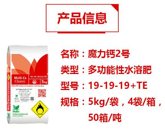 �๦����ˮ�ܷ�19-19-19+TE-ħ���}2̖-�������Q(m��o)_02