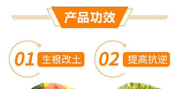 ����ֲ��ˮ�ܷ���-���-��ɫ���B(t��i)_07