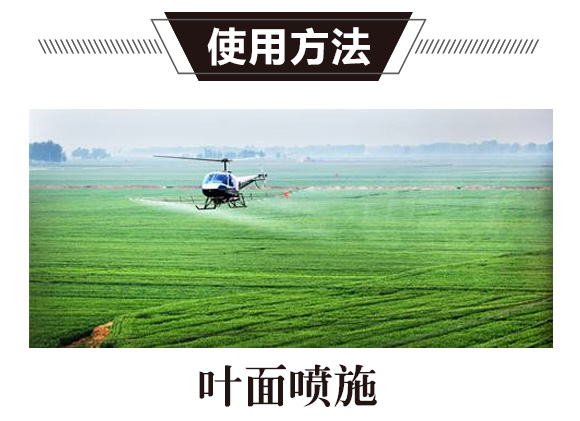 ̼?x��)�˷?�G���T-̼?x��)�?gu��)�H_02