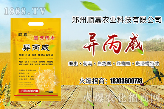 �����x(ch��ng)������(du��)�ݵ�؝ҹ��������õķ���Ч��