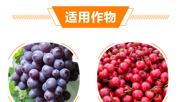 20%���ݿ�-��Ҋ(ji��n)-��ʯ����_07