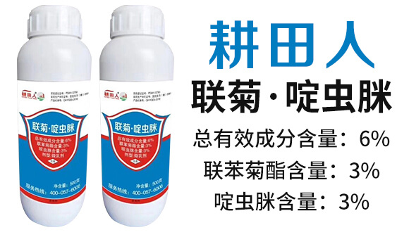 6%(li��n)�ա���x(ch��ng)��-������-��(r��n)������_02