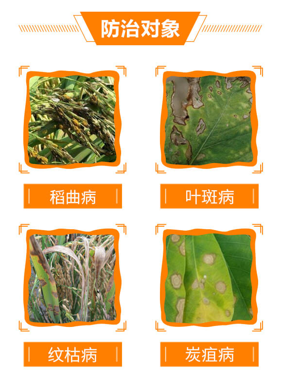 10%����-���ǽ�-���r(n��ng)����_05