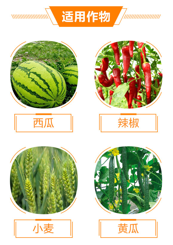 10%����-���ǽ�-���r(n��ng)����_04