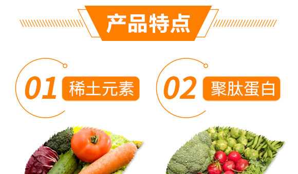 ���Y(ji��)���x��Ч̎�턩-��������_05