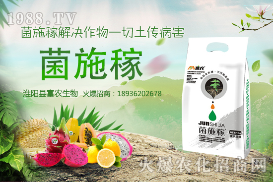 2020年農(nóng)村種野菜賺錢嗎?選擇哪些野菜品種效益高?建議收藏!