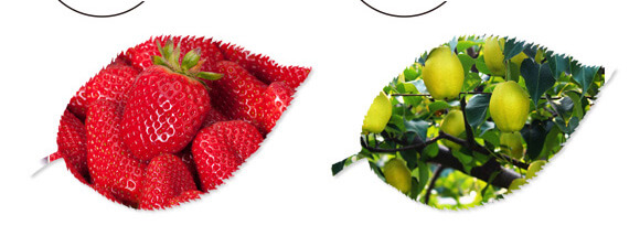 ̼?x��)�˷?�{(l��n)���T-̼?x��)�?gu��)�H_10