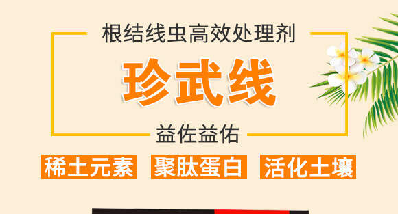 ���Y(ji��)���x��Ч̎�턩-��������_01