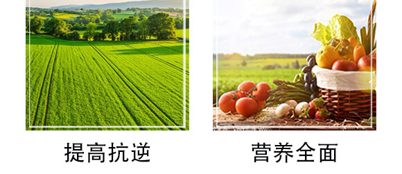 �S������΢�ЙC����-С����-�r��һ_07