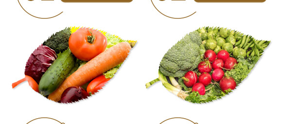 ��ˎ�����߮��w����-����ֲ��ˮ�ܷ�-�����r(n��ng)��_06