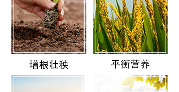 �S������΢�ЙC����-С����-�r��һ_06