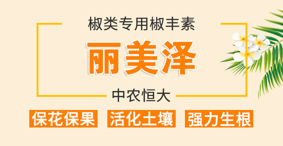 ����ý��S��-������-���r���_01