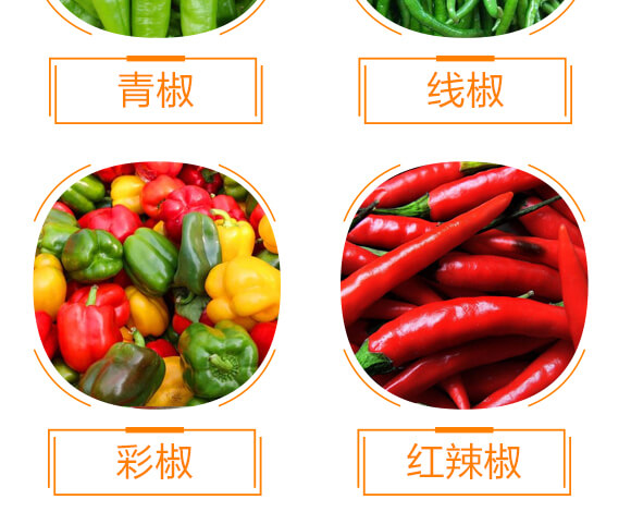 ����ý��S��-������-���r���_09