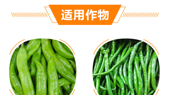 ����ý��S��-������-���r���_08