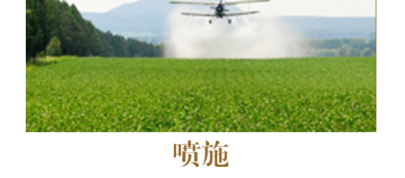 ��ˎ�����߮��w����-����ֲ��ˮ�ܷ�-�����r(n��ng)��_12