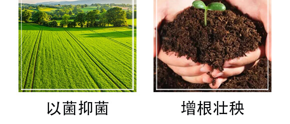 �S���������ЙC(j��)����-С����-�r(n��ng)��һ_07