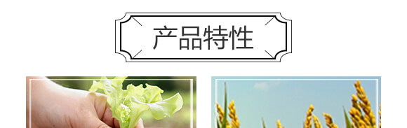 �S������΢�ЙC����-С����-�r��һ_05