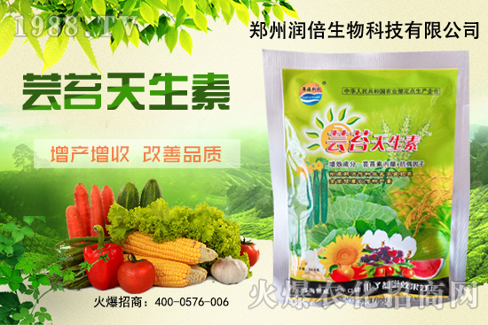 �S�B������ô�������S�B���ڲ��x��������