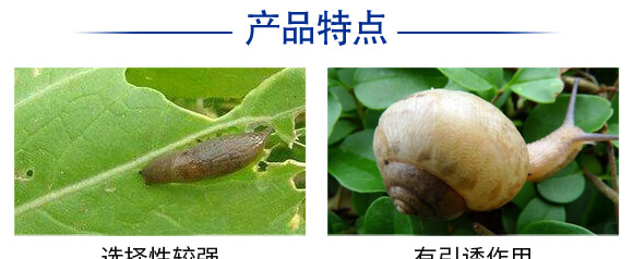 6%四聚乙醛(300克)-戰(zhàn)螺-凱諾生物_05