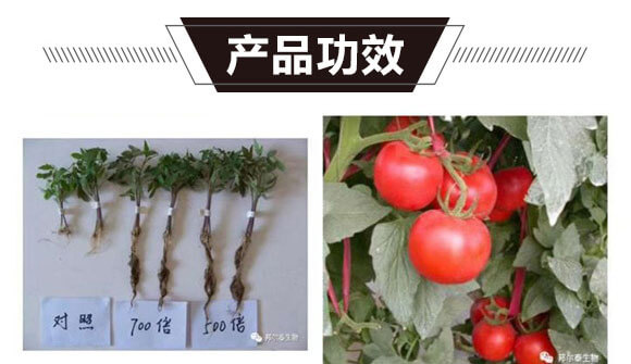 ��⛶���-һ����-�̩_07