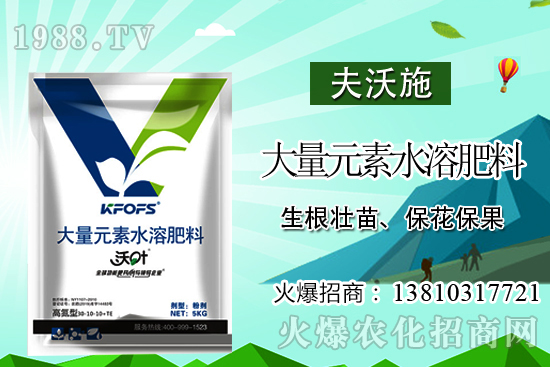 金櫻子有什么營養(yǎng)?金櫻子的功效與作用!