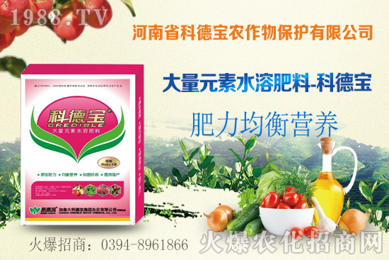 冬瓜育苗前需要做什么準(zhǔn)備?冬瓜對環(huán)境條件有什么要求?