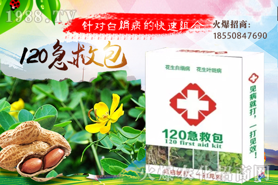 �S�ϼ޽���ʲô��̎����������S�ϼ޽��磿