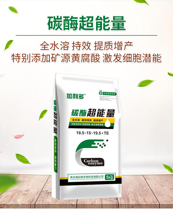 ̼ø������-������-�����S_01