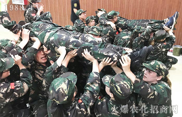 用心感悟，用心收獲！