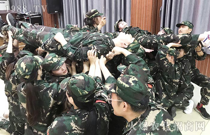 �˹����-�t����