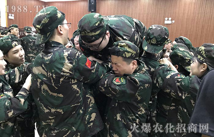 �˹����-�t����