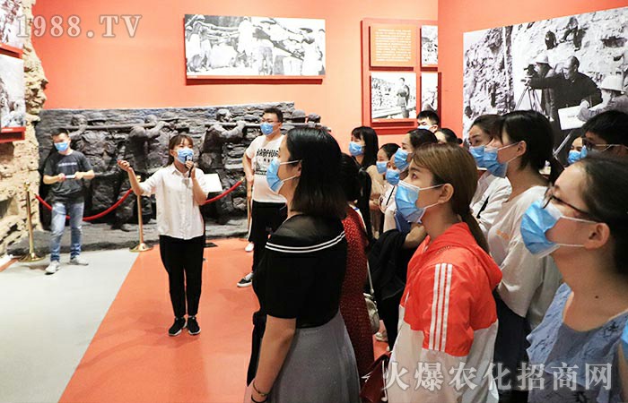 �˹����-�t����