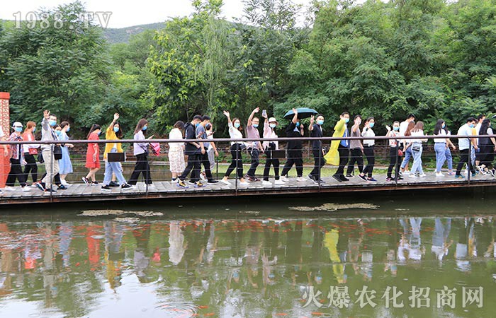 ��P�t�����ľ��񡪡������������D���^��