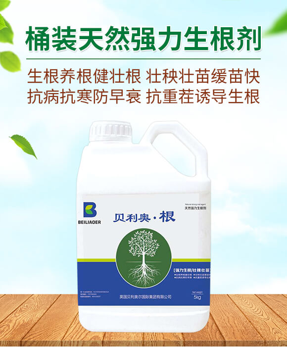 Ͱ�b��Ȼ����������-ؐ���W����-�����S_01