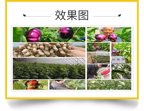 �W˹�D����Ƽ����޹�˾_08