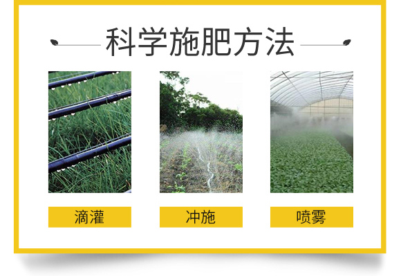 �W˹�D����Ƽ����޹�˾_10