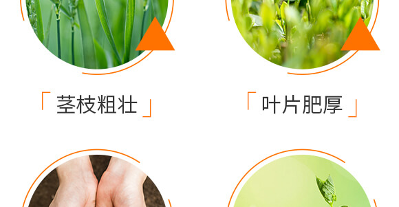 �Z�����＼�g(sh��)���޹�˾1_07