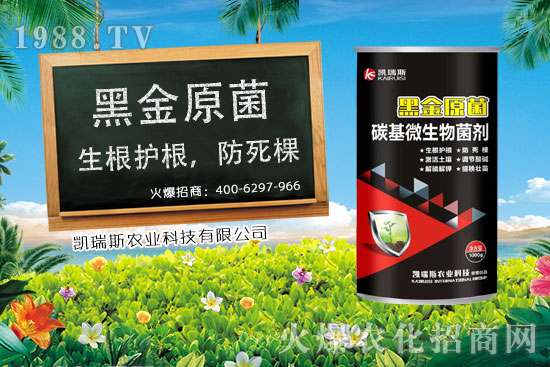     ����ʲô�r(sh��)����죬���׵��ի@�r(sh��)�������׵ĠI(y��ng)�B(y��ng)�r(ji��)ֵ��