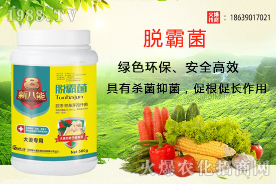 �����Nֲ�xʲôƷ�N�������Nֲǰ��������Ʒ�N���]��