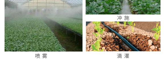 �Z�����＼�g(sh��)���޹�˾1_15