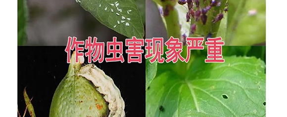 �����v�S�r(n��ng)�I(y��)�Ƽ����޹�˾2_13