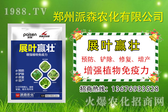 秋黃瓜什么時(shí)候種,秋黃瓜的種植時(shí)間及管理方法!