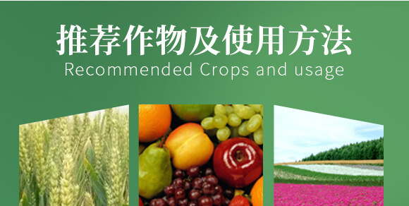 農(nóng)夫稼園生物技術(shù)有限公司2_08