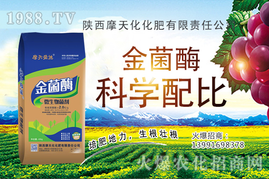 �Nһ���O(p��ng)���ĳɱ��Ƕ������ж�������(r��n)���O(p��ng)���Nֲ���g(sh��)�c������